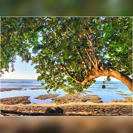 Cabinas Coconut Grove Puerto Viejo de Talamanca Extérieur photo